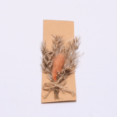 Grama secada natural das pampas coloridas 43*15cm para o grupo do presente