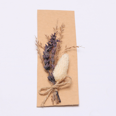 Grama secada natural das pampas coloridas 43*15cm para o grupo do presente