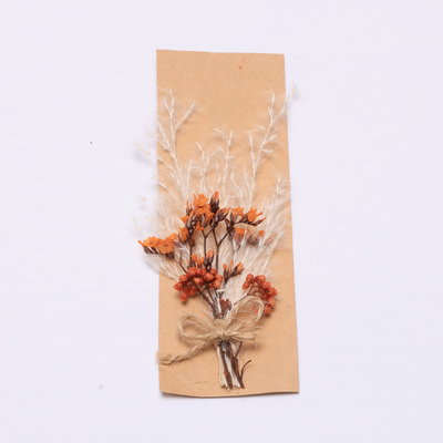 Grama secada natural das pampas coloridas 43*15cm para o grupo do presente