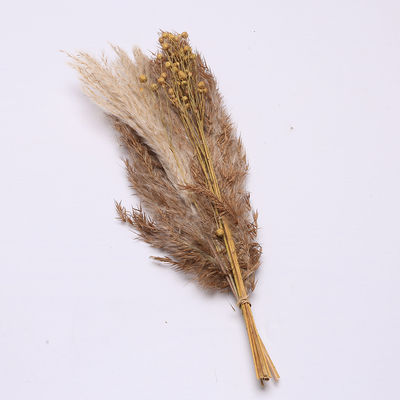 Comprimento artificial 35cm do arranjo do capim-dos-pampas