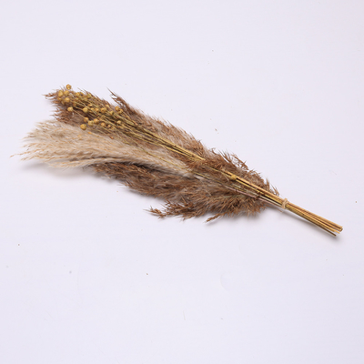 Comprimento artificial 35cm do arranjo do capim-dos-pampas