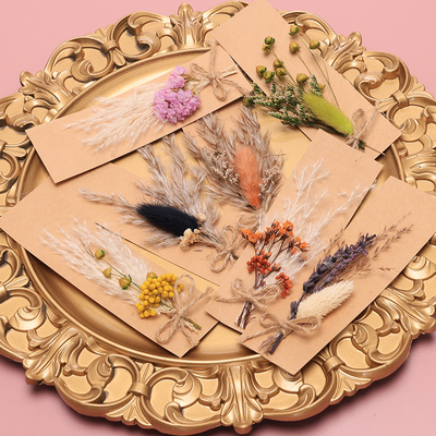 Pot-pourri natural 43*15cm da grama secada das pampas do saco de Opp