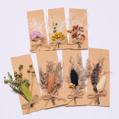 Pot-pourri natural 43*15cm da grama secada das pampas do saco de Opp