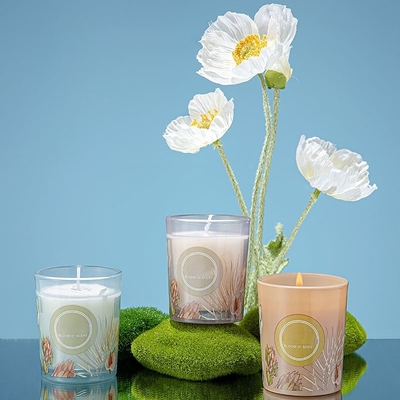 Grupo colorido 60g 50ml do presente de Pinecone Reed Diffuser Scented Candle Jar do banquete de casamento