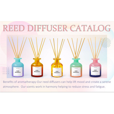 Sabor caseiro colorido de Reed Diffuser Sea Salt do óleo 120ml essencial
