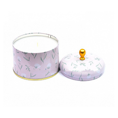 Metal Scented feito a mão Tin Can Candle 100ml 250ml da cera da soja